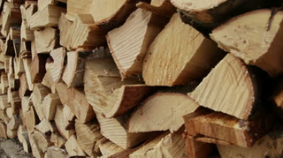 Illustration for article titled Which Sports Car is Great for Lumberjacking?